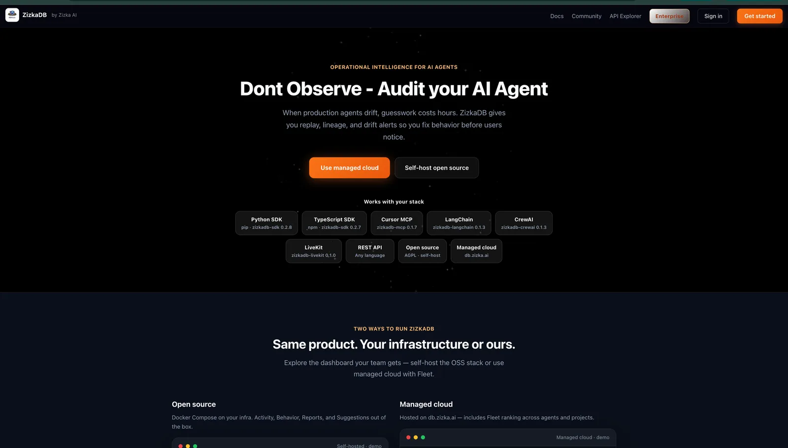 ZizkaDB screenshot 2: AI Agent Auditability Platform
