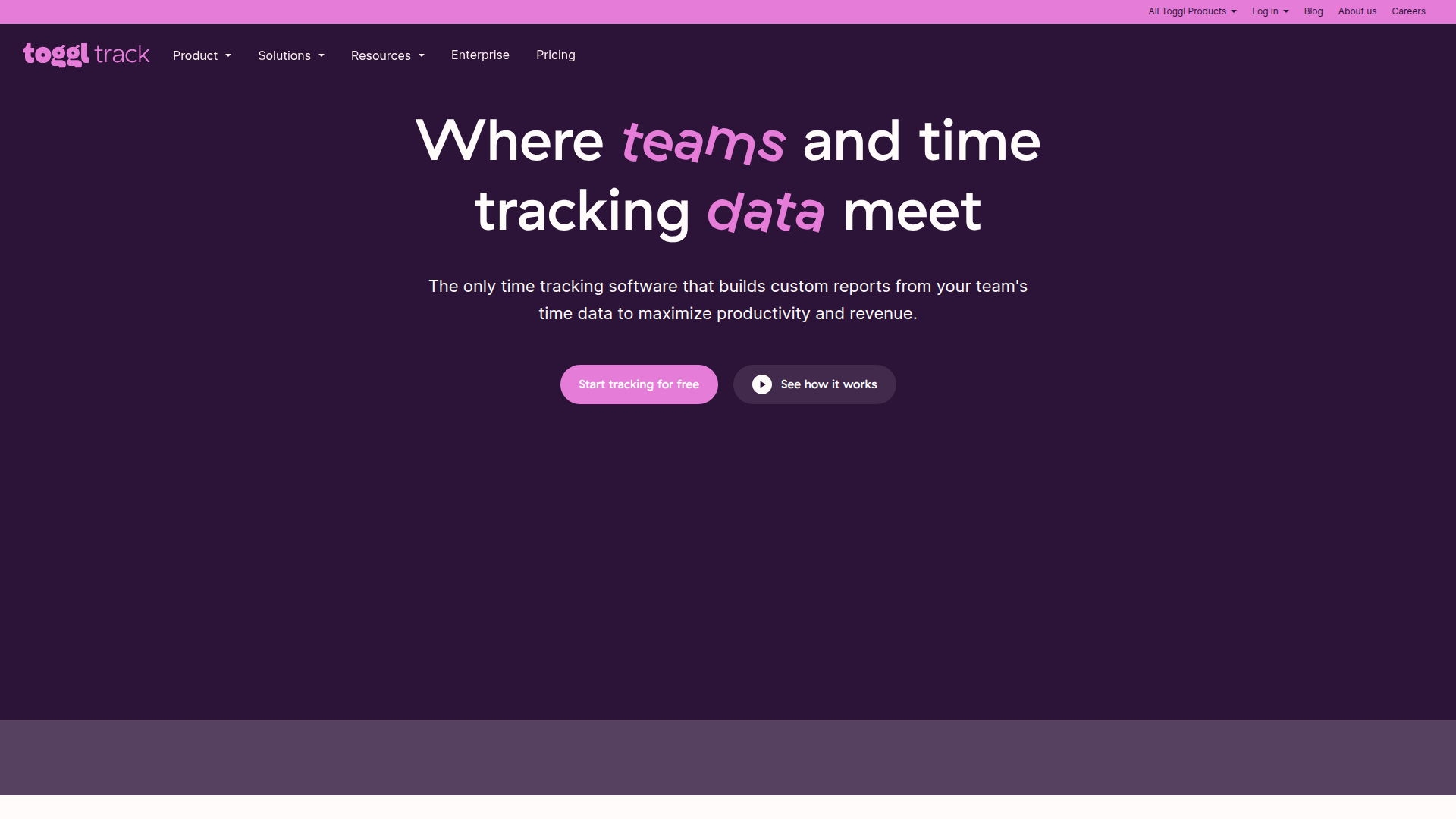 Toggl Track homepage